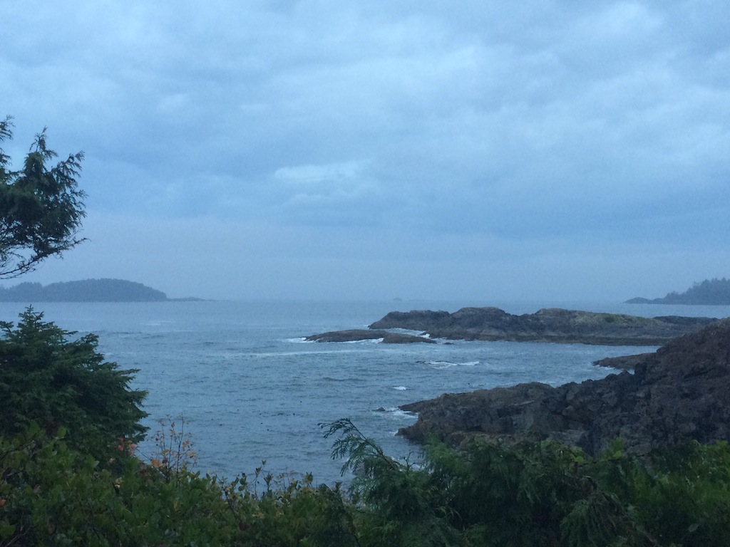 Western Shore of Vancouver Island 