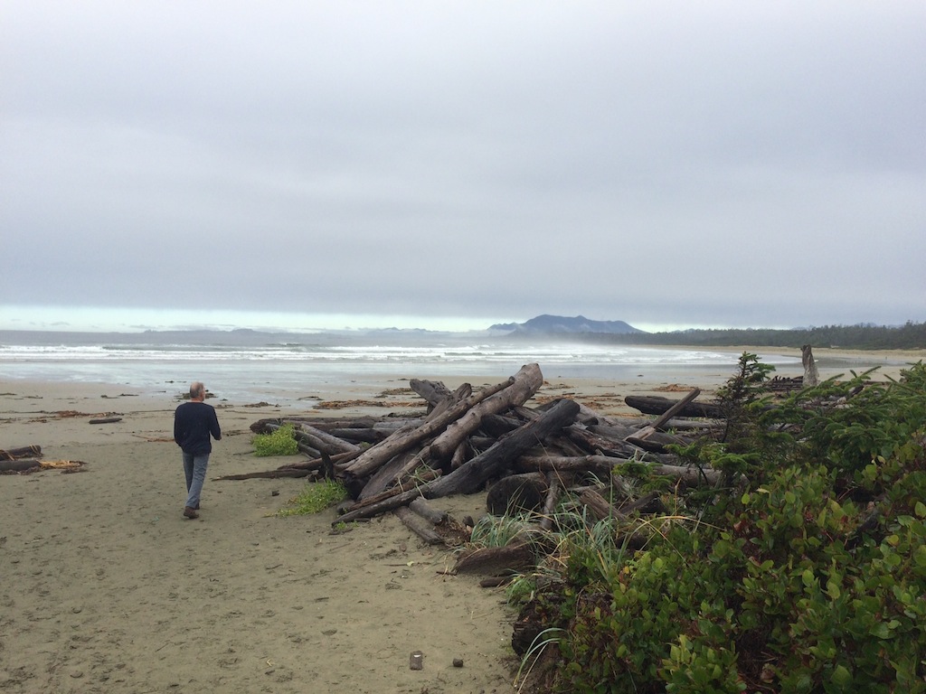 Beach With Driftwood & The Ball&Chain